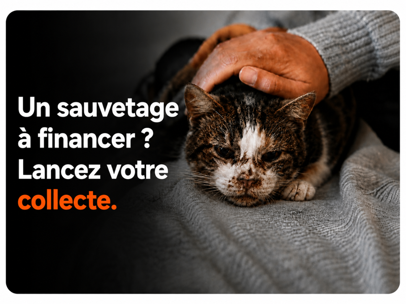 Un sauvetage à financer ? Lancez votre collecte