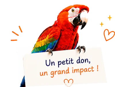 Perroquet coloré posant ses pattes sur une pancarte : Un petit don, un grand impact