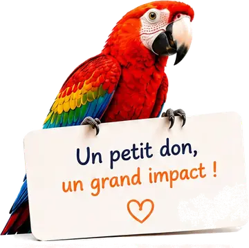 Perroquet coloré posant ses pattes sur une pancarte : Un petit don, un grand impact
